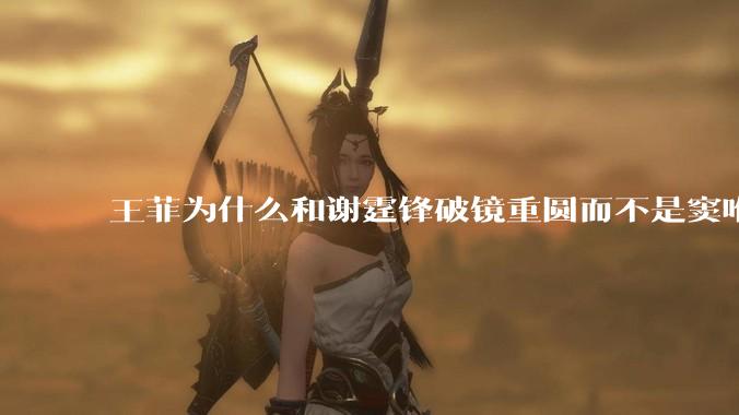 王菲为什么和谢霆锋破镜重圆而不是窦唯？