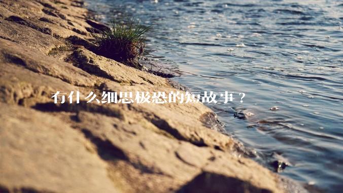 有什么细思极恐的短故事?