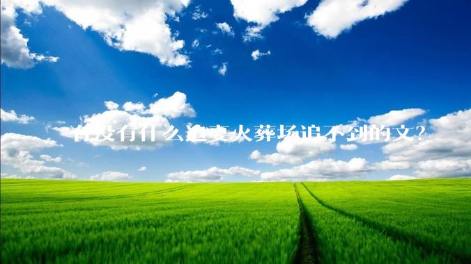 有没有什么追妻火葬场追不到的文？