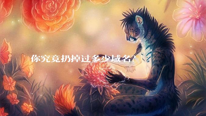 你究竟扔掉过多少域名？