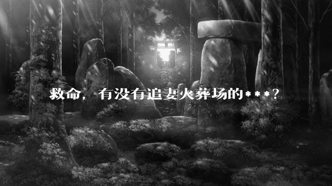 救命，有没有追妻火葬场的***？