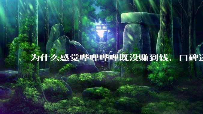 为什么感觉哔哩哔哩既没赚到钱，口碑还丢了，有一种一败涂地的既视感，是我的错觉吗？