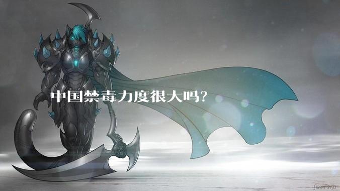 中国禁毒力度很大吗？