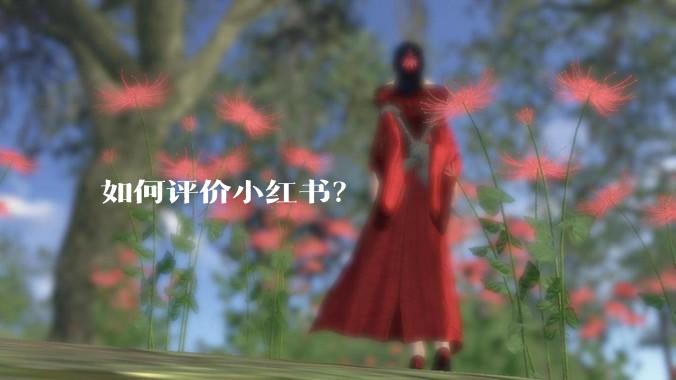 如何评价小红书？