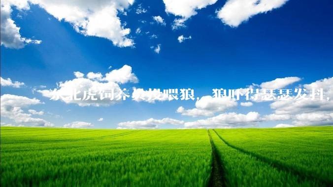 东北虎饲养员投喂狼，狼吓得瑟瑟发抖，真的是「血脉压制」吗？可能是哪些原因造成的？