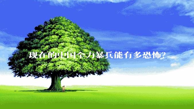 现在的中国全力暴兵能有多恐怖？