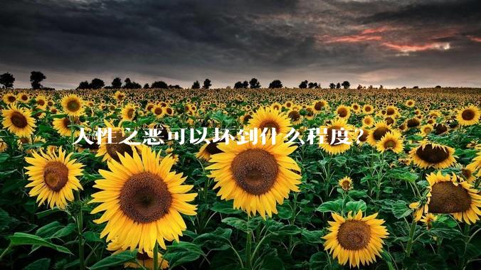 人性之恶可以坏到什么程度？