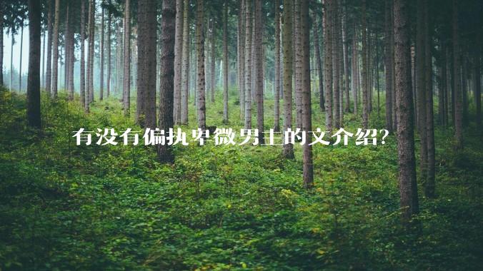 有没有偏执卑微男主的文介绍？
