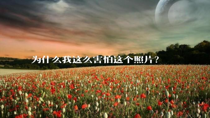 为什么我这么害怕这个照片？
